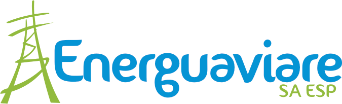 ENERGUAVIARE S.A. E.S.P.